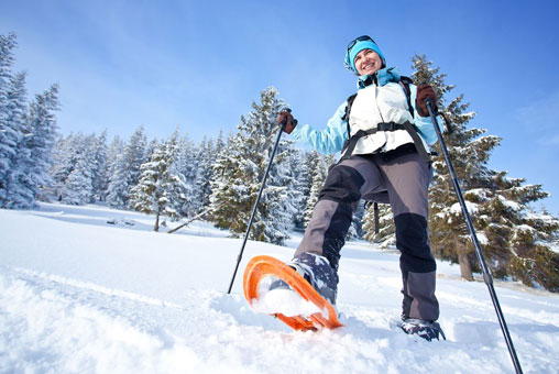 <img src="/wp-content/uploads/2018/09/sports-exchange-icon.png"/>Snowshoeing