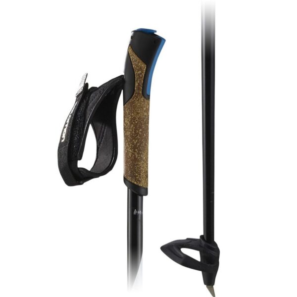 POLES SALOMON R 60 CLICK