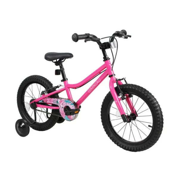 GARNEAU FR-16 - Image 4