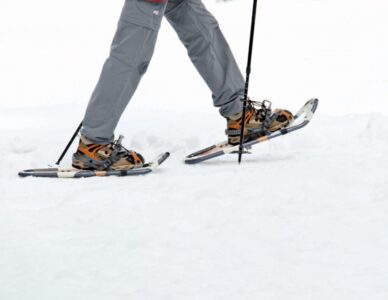Snowshoeing