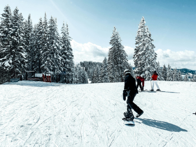 <img data-tf-not-load data-no-script src="/wp-content/uploads/2018/09/sports-exchange-icon.png"/>Planche à neige