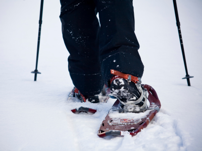 <img data-tf-not-load data-no-script src="/wp-content/uploads/2018/09/sports-exchange-icon.png"/>Raquettes à neige